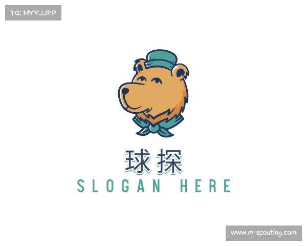 解读球探